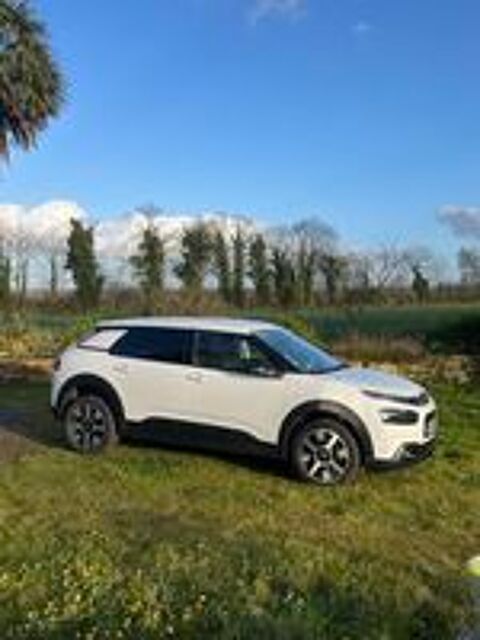 C4 cactus C4 Cactus BlueHDi 120 S&S EAT6 Shine Business 2019 occasion 29510 Langolen
