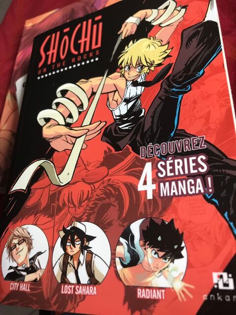 découvert de 4 mangas 3 Saint-Genis-Laval (69)
