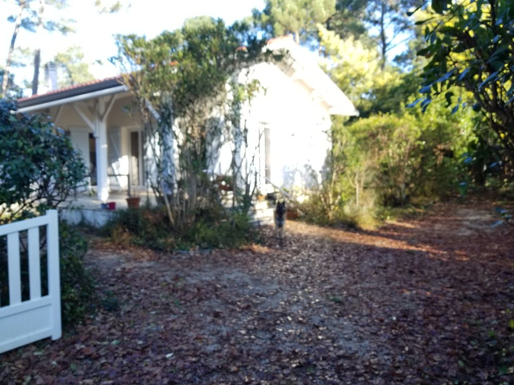   Agréable villa CAP FERRET au calme Vacances  / Offres de location 