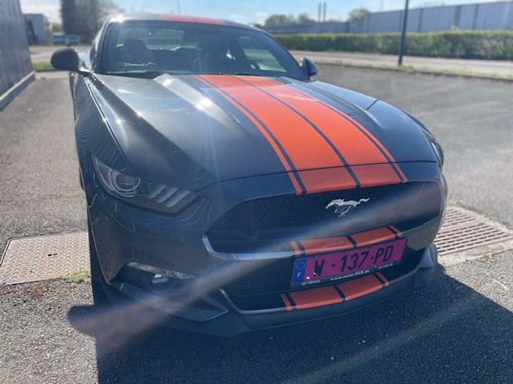 Mustang Fastback V8 5.0 421 GT A 2016 occasion 25420 Bart
