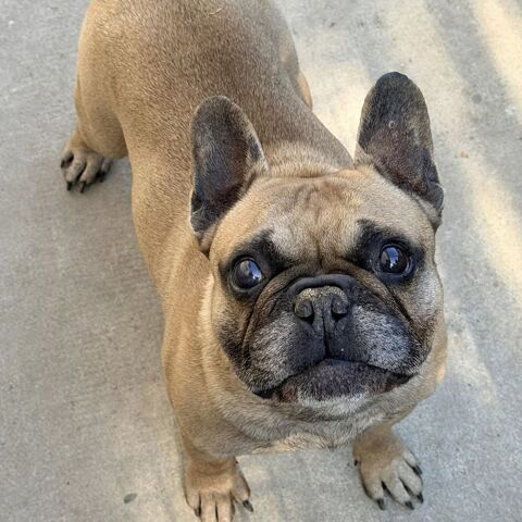 MAIKO 50 26270 Loriol-sur-dr�me