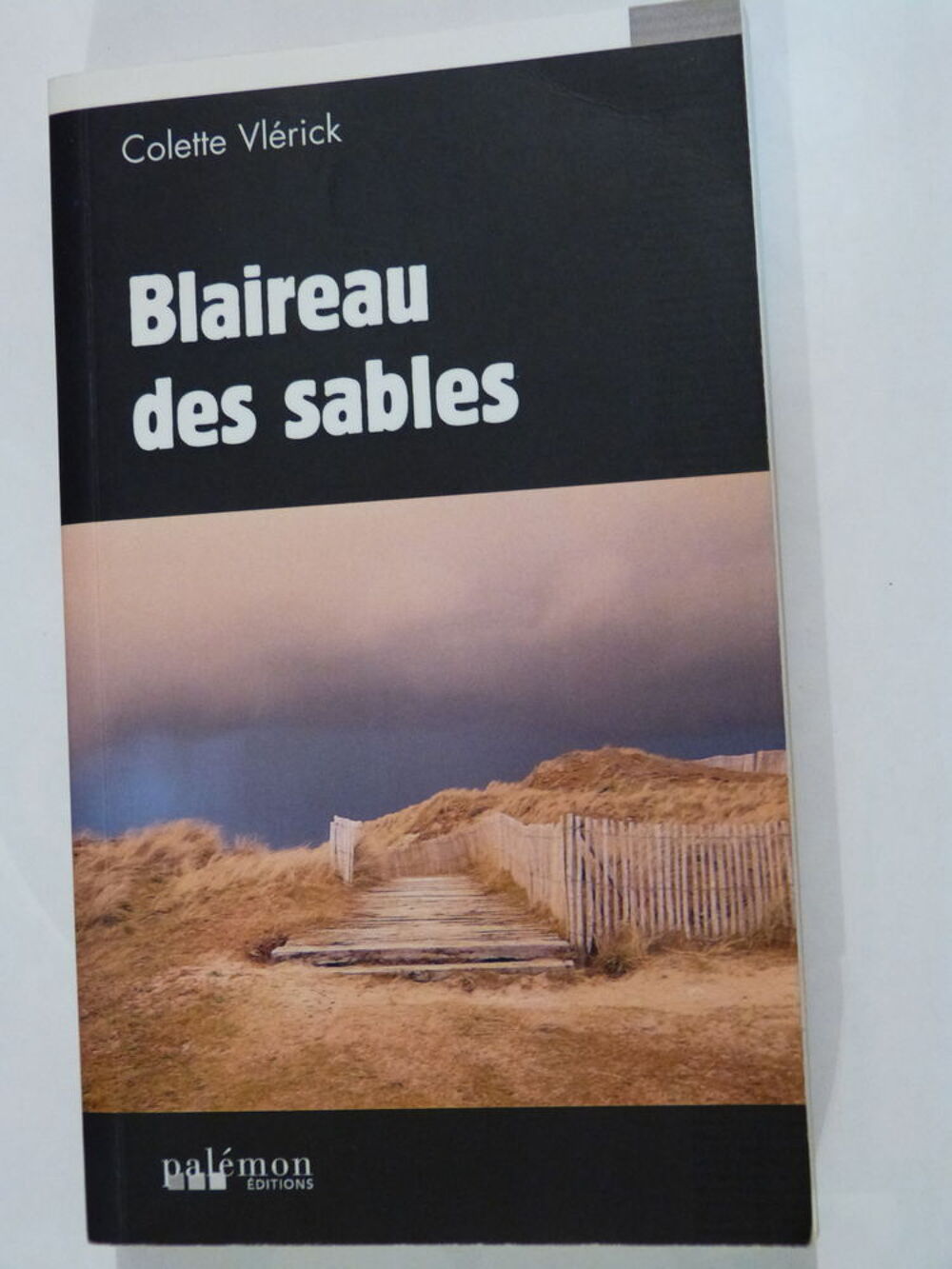 BLAIREAU DES SABLES roman policier BRETON PALEMON Livres et BD
