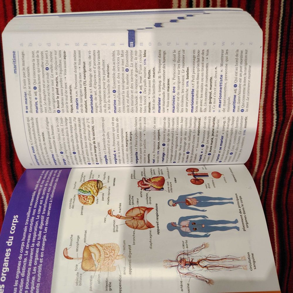 LAROUSSE JUNIORS Livres et BD