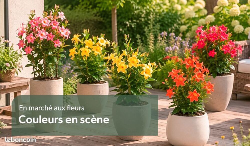 de v&eacute;g&eacute;taux au jardin du lavoir 16 Jardin