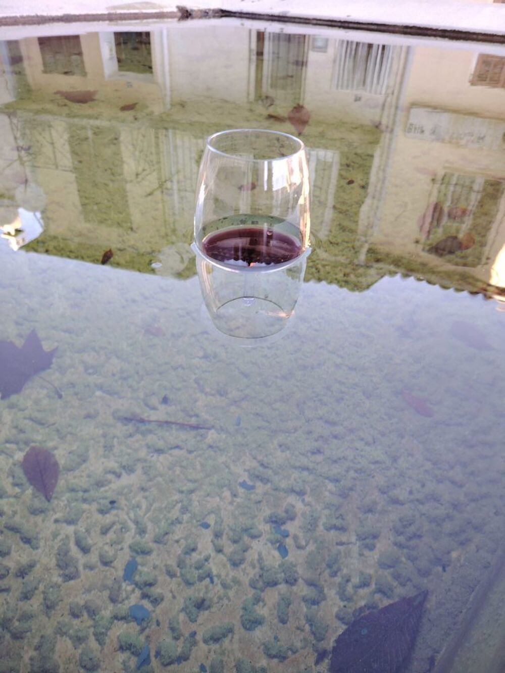 VERRE &agrave; VIN PVC HAUT DE GAMME Décoration