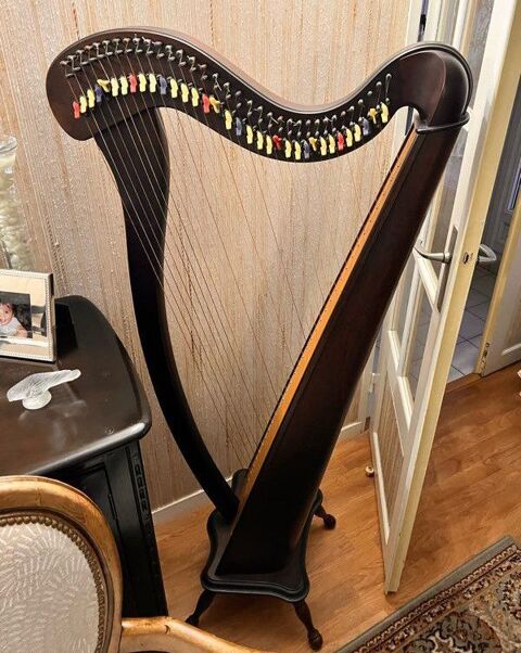 Harpe celtique camac 34 cordes Périgueux (24)