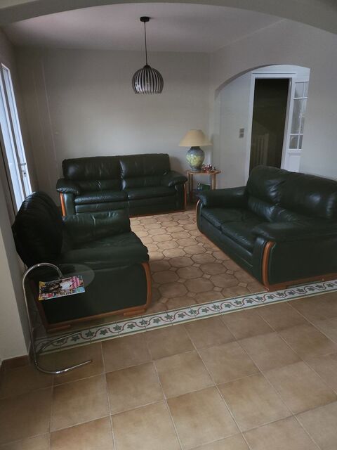 Salon cuir natuzzi vert fonc 700 Saint-Mdard-en-Jalles (33)