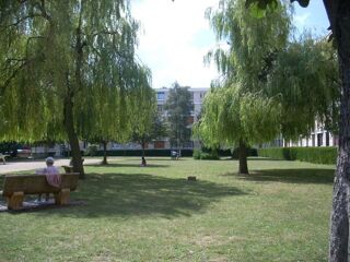 Appartement à vendre 3 pièces 51 m²