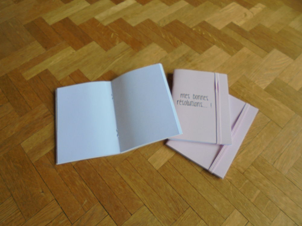 Carnets "Mes bonnes r&eacute;solutions... !" (45) Jeux / jouets