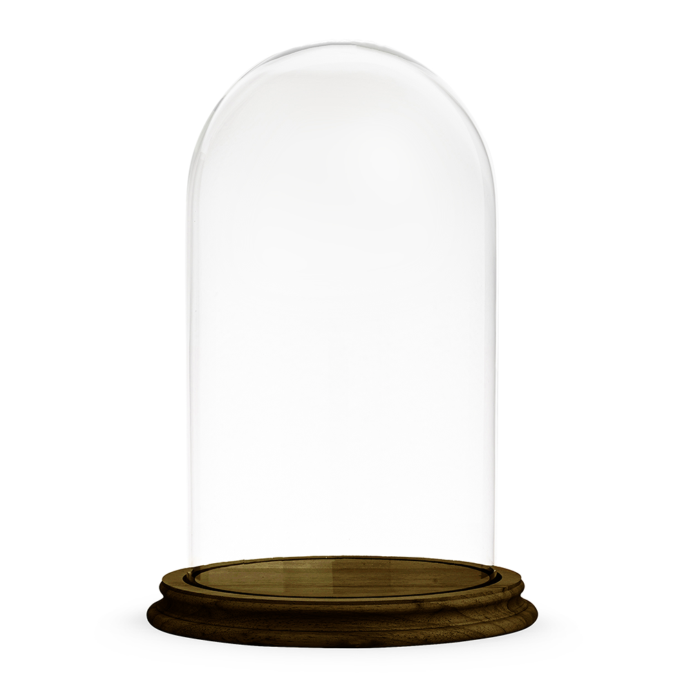CLOCHE DE VERRE Décoration