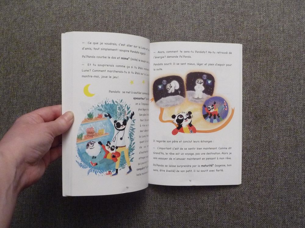 The Panda Family- Vol 2- Mission Super Pouvoirs- Daocom Livres et BD