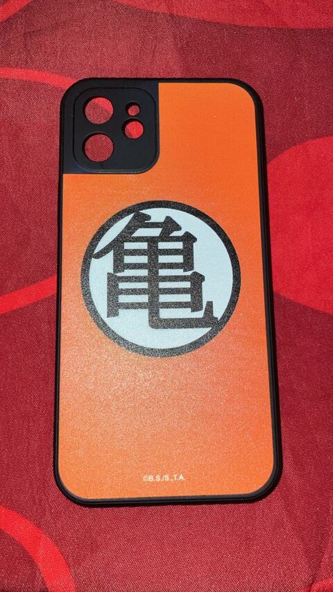 Coque iPhone 12 10 Sainte-Anne (97)