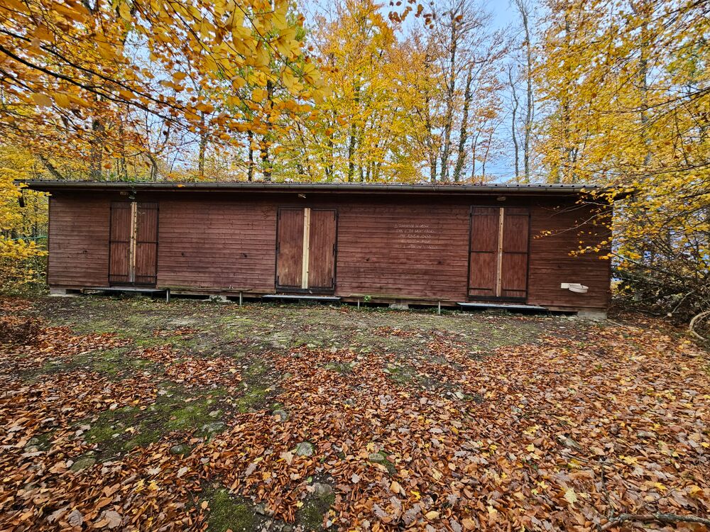   CHALET EN BOIS 