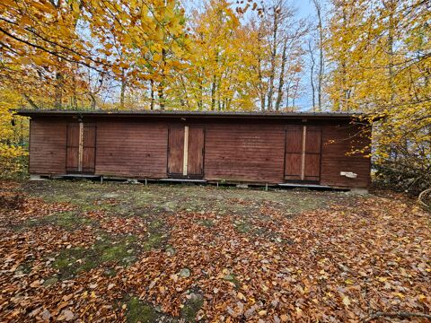 CHALET EN BOIS 20000 38480 Pressins