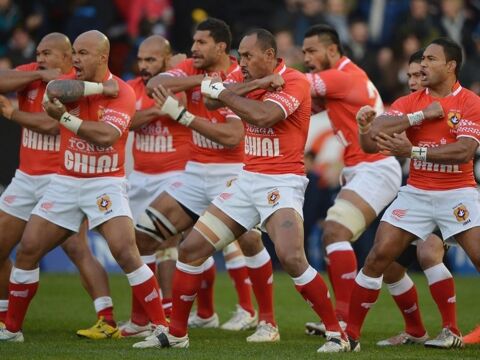 Afrique du Sud - Tonga, coupe du monde de rugby 100 Marseille 1 (13)