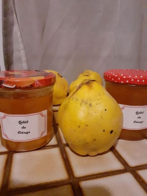 Gel�e Pomme / Coings 3 Canappeville (27)