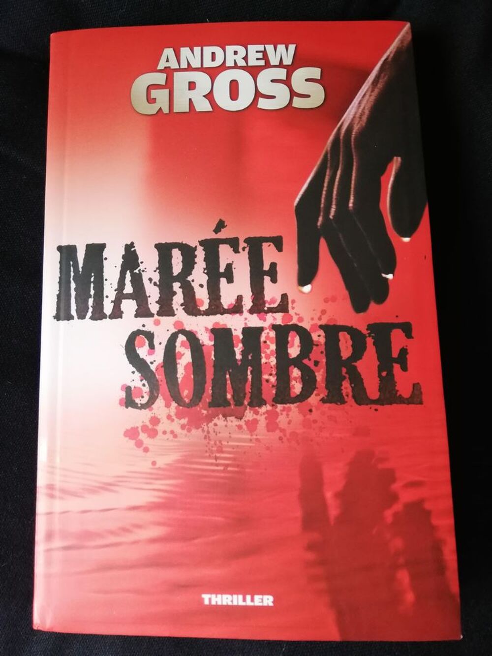 Livre : "Mar&eacute;e sombre" de Andrew Gross (thriller). Livres et BD