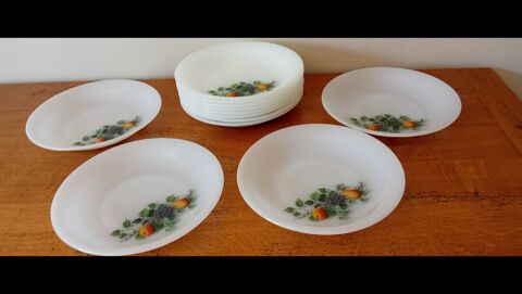 12 ASSIETTES CREUSES ARCOPAL VINTAGE 6 Elbeuf (76)