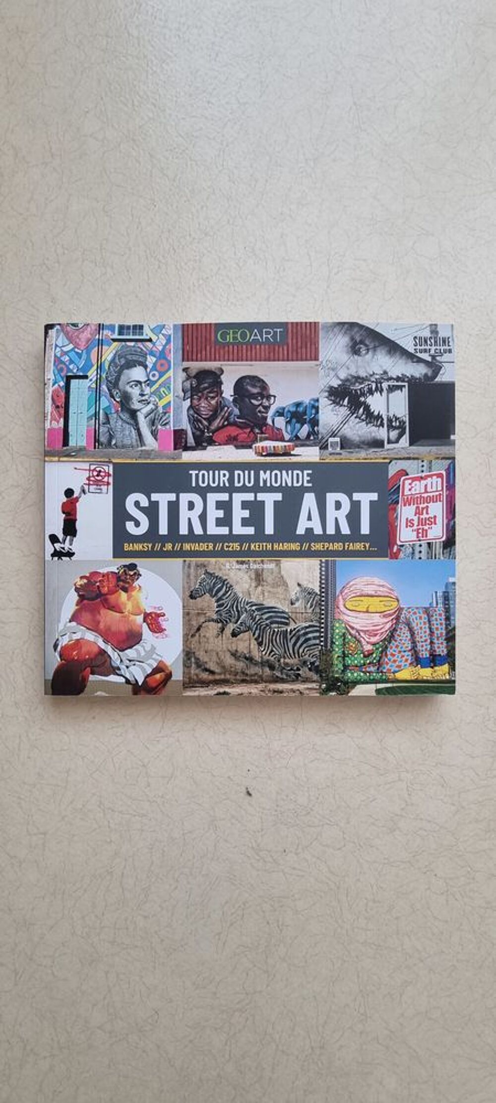 Tour du monde du street art Livres et BD