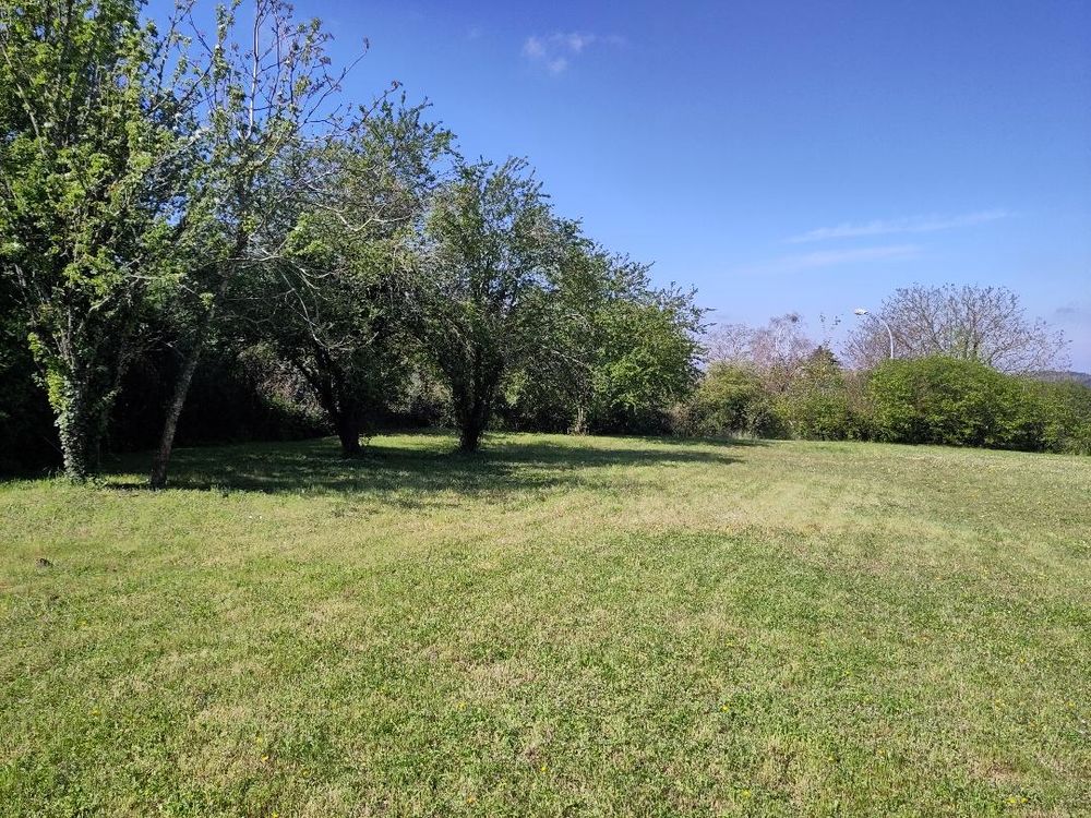 Vente Terrain Rare à Chinon : terrain constructible au calme Chinon