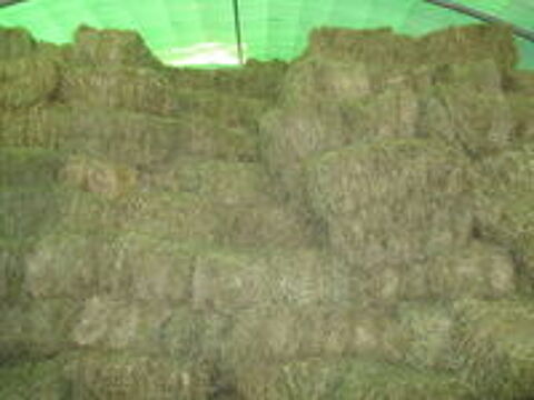   bottes de foin 