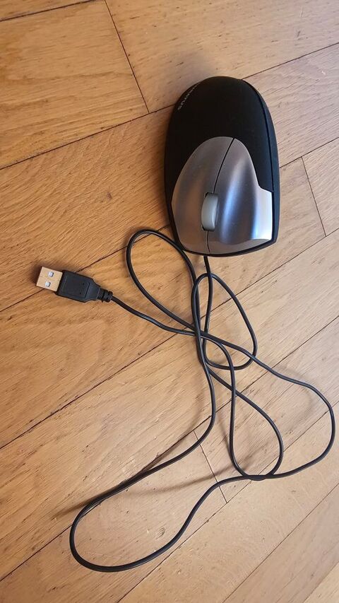 Souris ergonomique 5 Viviers-du-Lac (73)