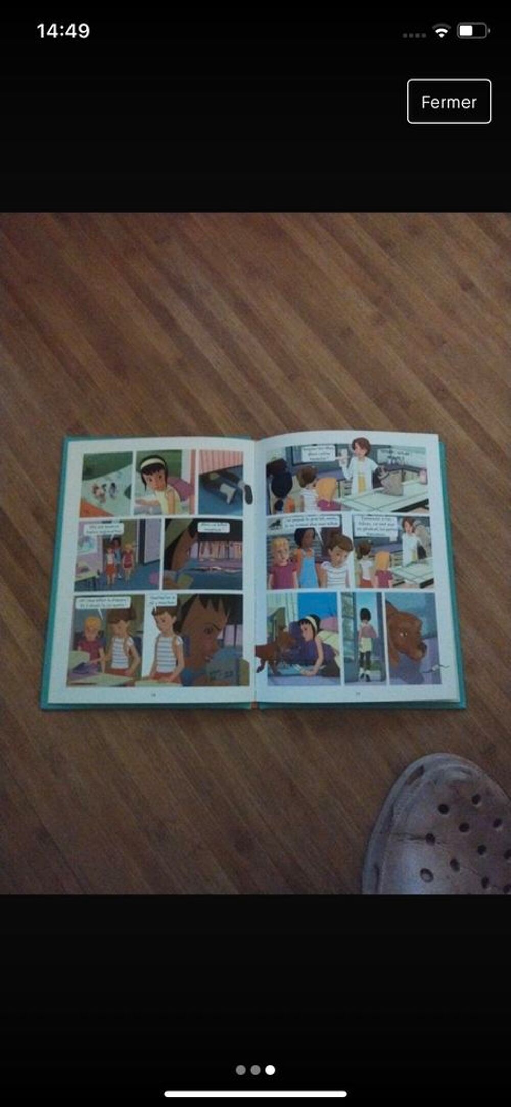 Martine et le billet vol&eacute; Livres et BD