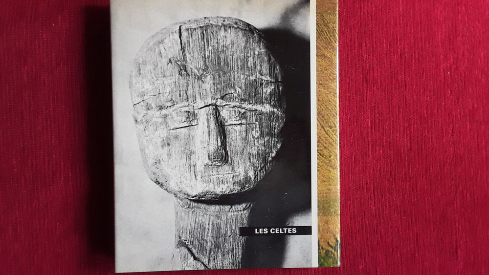 Les celtes de Georges Dottin Livres et BD