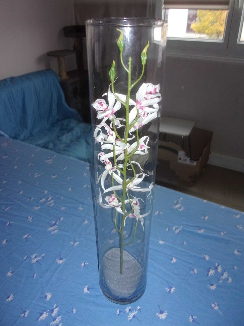 Vase en verre cylindrique fleur blanche d&eacute;co Décoration