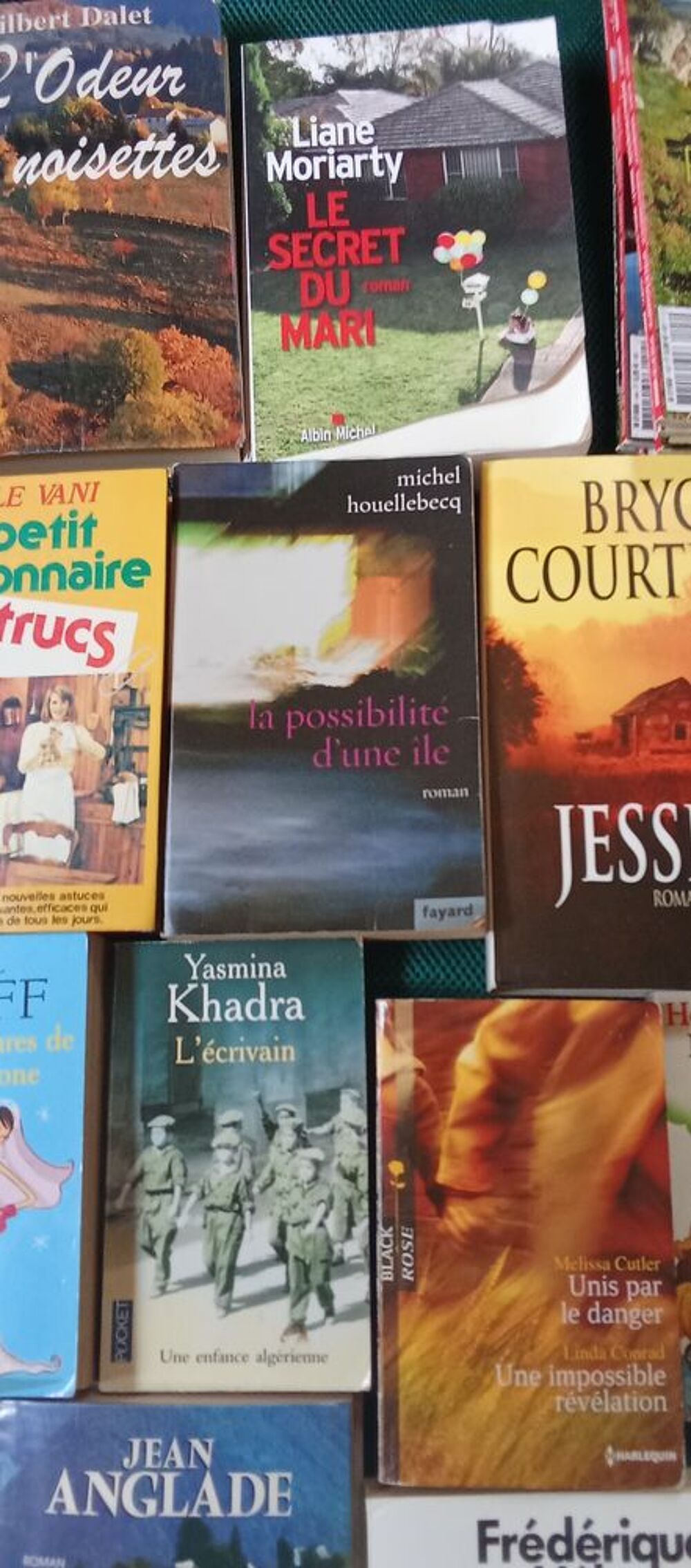 Romans Livres et BD