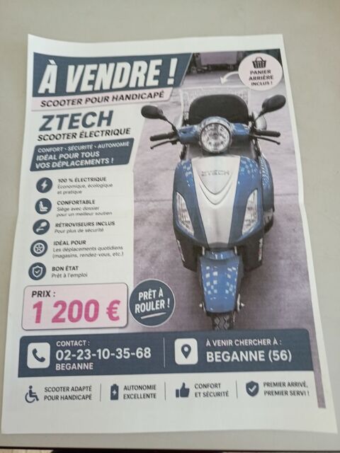 AUTRES Voiture sans permis  occasion B&eacute;ganne 56350
