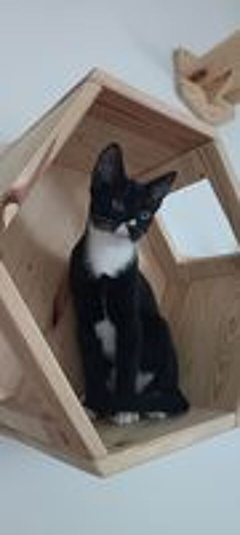   BINX 