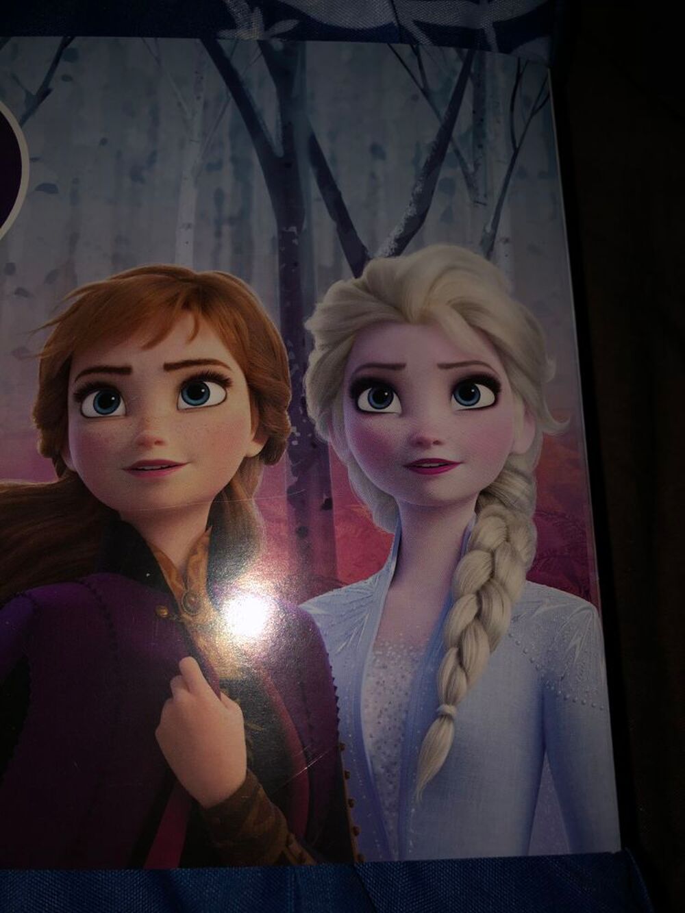parure de lit frozen 2 Jeux / jouets