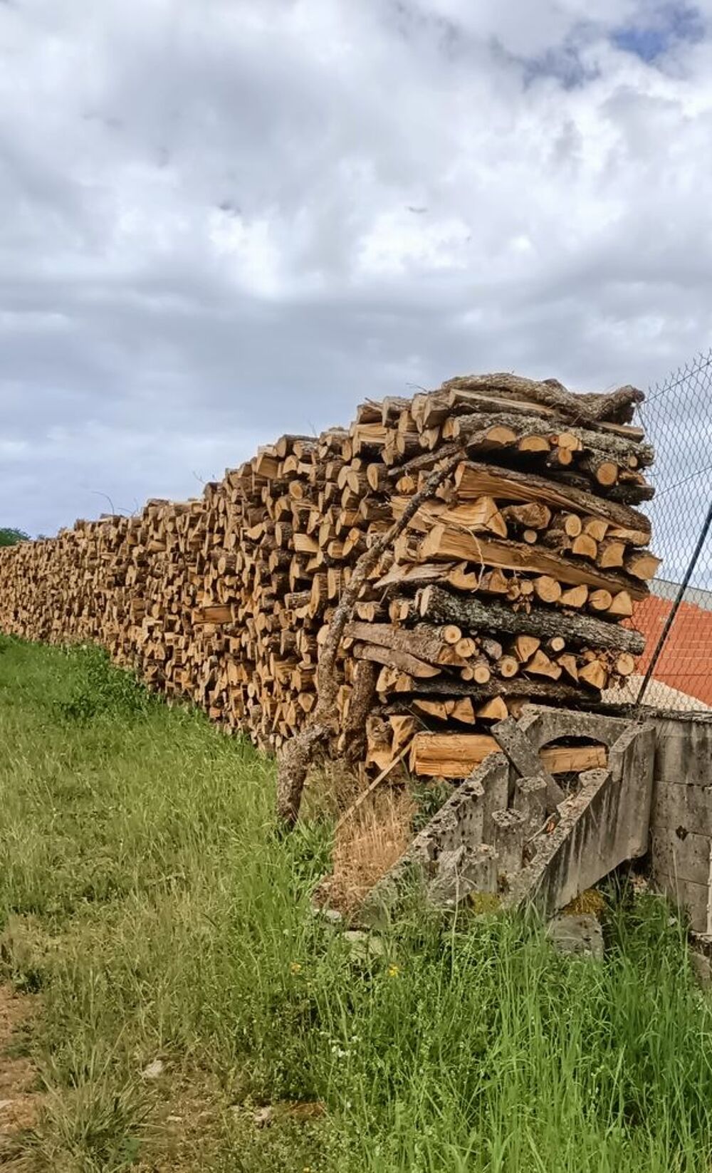 Ch&ecirc;ne bois de chauffage . Jardin