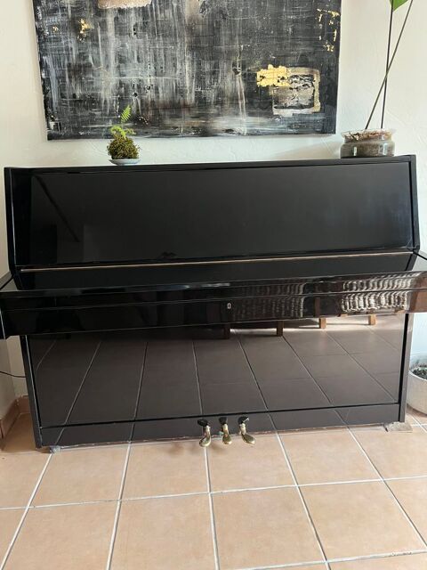 Piano Julius Drayer 1000 Fronton (31)