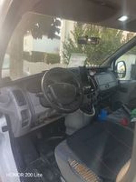 Trafic TRAFIC CA 2.0 DCI 115 L2H1 1200 KG CONFORT EURO 5 2008 occasion 45140 Saint-Jean-de-la-Ruelle
