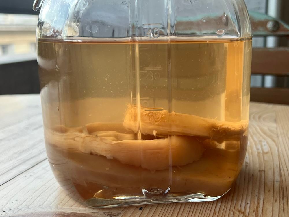 Kombucha Cuisine