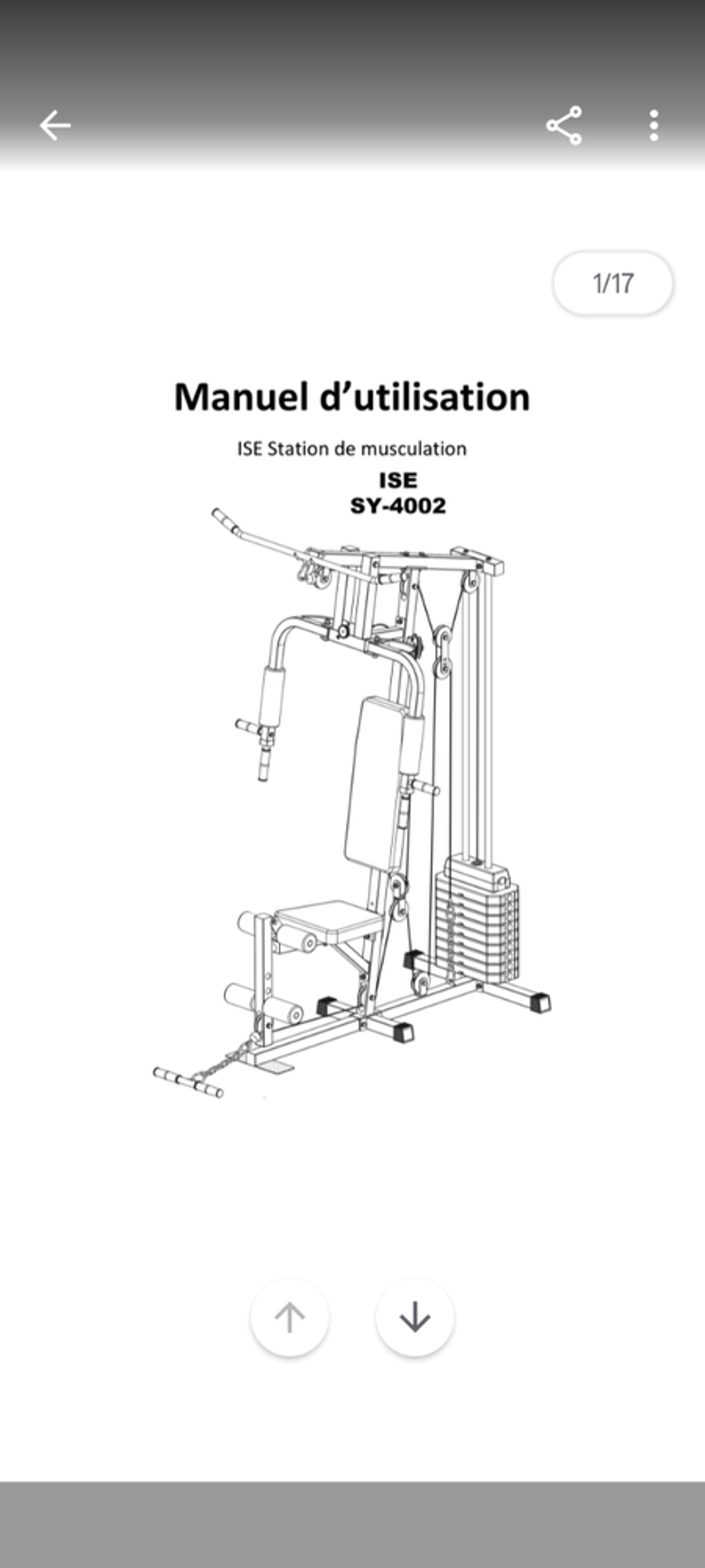 Station musculation ISE. SY 4002 Sports