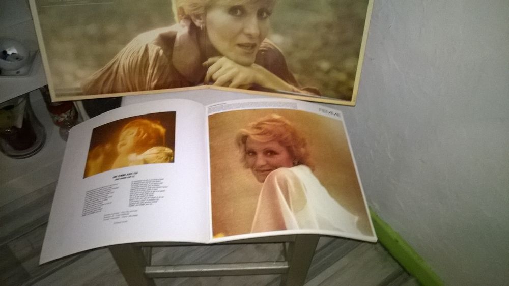 Vinyle Nicole Croisille
Au Th&eacute;&acirc;tre des Champs-&Eacute;lys&eacute;es
1981 CD et vinyles
