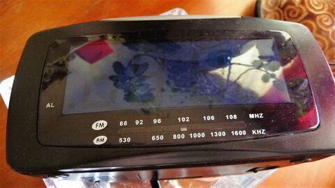 R�veil 10 Nice (06)