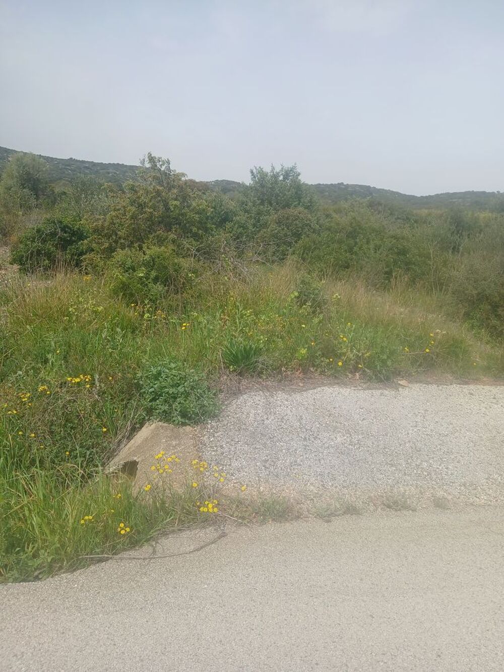 Terrain agricole Jardin