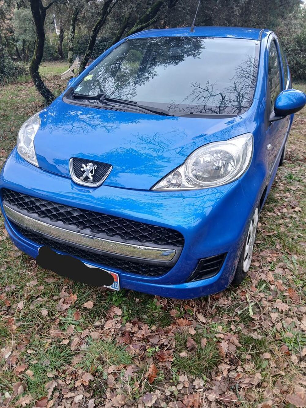 107 1.0e 12V 68ch BLUE LION Trendy 2009 occasion 30140 Anduze