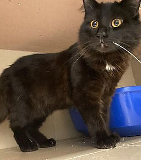 Zorro 200 26700 Pierrelatte