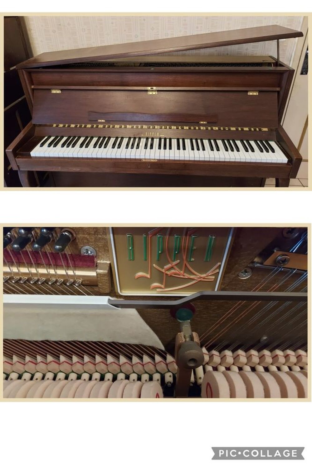 piano droit Rippen mignon Instruments de musique