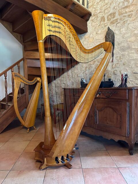 Harpe de concert Atlantide prestige  22000 Luchat (17)
