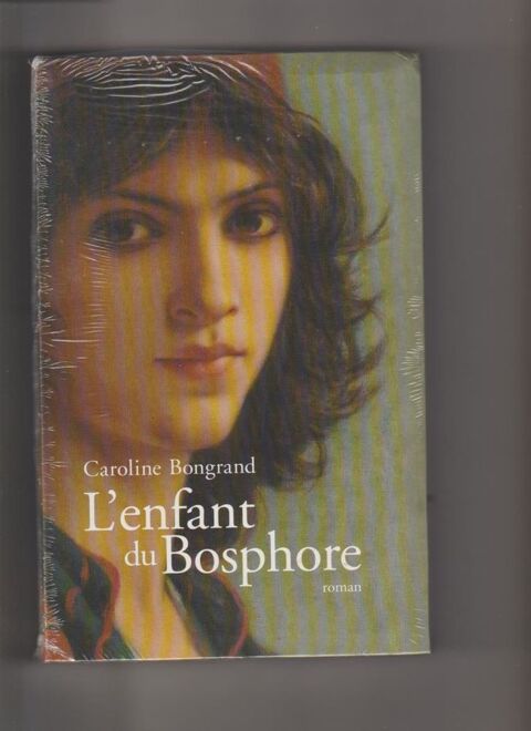 Roman de Caroline Bongrand 0 Rognes (13)