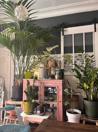 Location  Appartement 