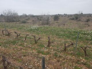  Terrain  vendre 7325 m