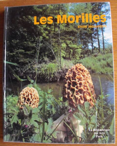Les morilles Camors (56)