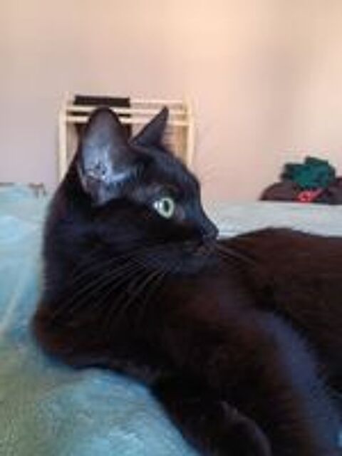   AGATHA 